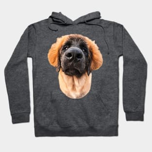 Leonberger Adorable Puppy Dog Hoodie